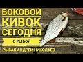 Боковой кивок работает! Рыбак Андрей Николаев. Ликино. Щедрино. Летняя мормышка.