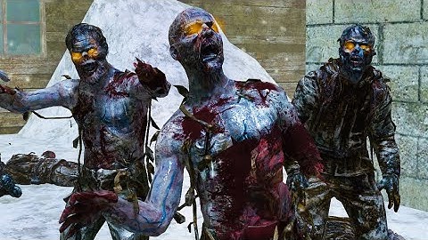 Black Ops Custom Zombies: Nintendo DS Overlook!