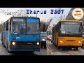 Sofia Trolleybuses | Ikarus 280T & 280T Facelift🚎