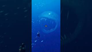 Mind Blowing Facts To Know shorts