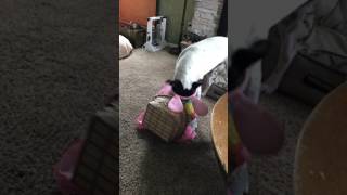 Molly opening her Easter basket - 4/19/17