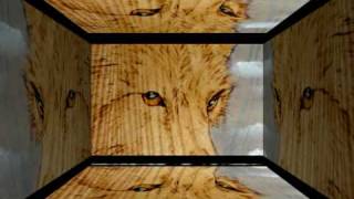 PYROGRAPHY..TOLIS 51
