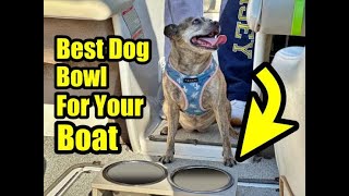 ATTENTION DOG OWNERS | Must Have Dog Bowl On a Boat - Boat Outfitters