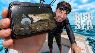 I Found a Huge Creature at the Bottom of the Irish Sea