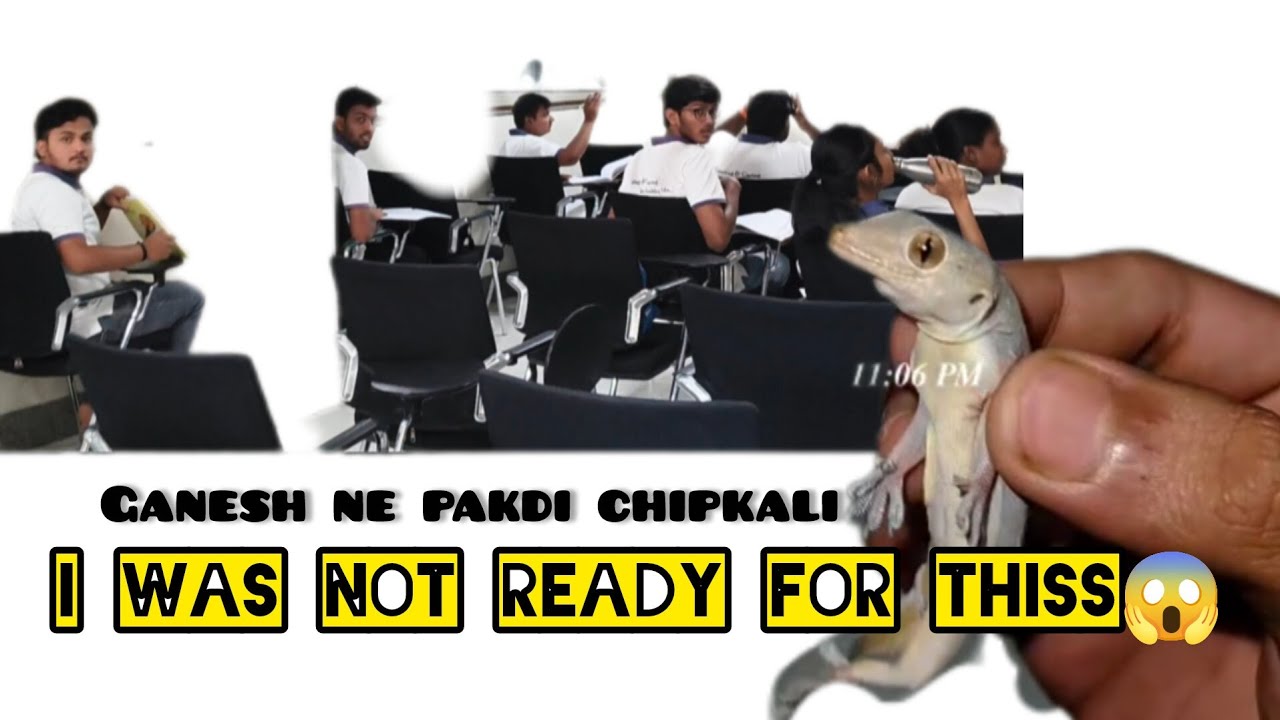 From lectures → madness → hostel trip discussion 😌 | A very random day in my life✨