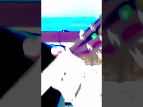 Blues Guitarrista Bluesislife Nbki Guitar Acoustic 