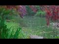 The beautiful little river is raining(454) , sleep, relax, meditate, ASMR, Real Shot