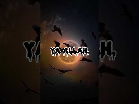 Allah is always with you🥰