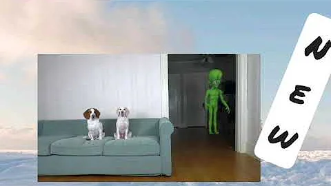 dog pranked by alien with superpower funny dogs maymo  potip..
