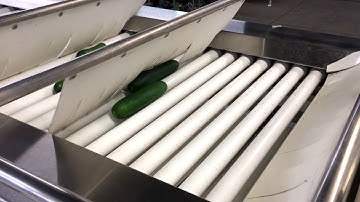 Kerian Size Grader LS30, Y3647