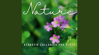 Tranquil Slumber Echoes