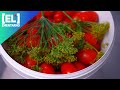 Квашенные помидоры на зиму🍅 Самые вкусные помидоры🌿 Проверенный рецепт🍅