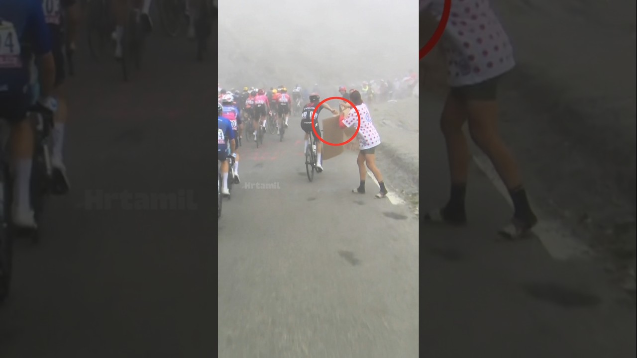அந்த அட்டையை இவர் கிழித்து விட்டார் 😡 ( 🎥 teamvisma_leaseabike ) #shorts #facts