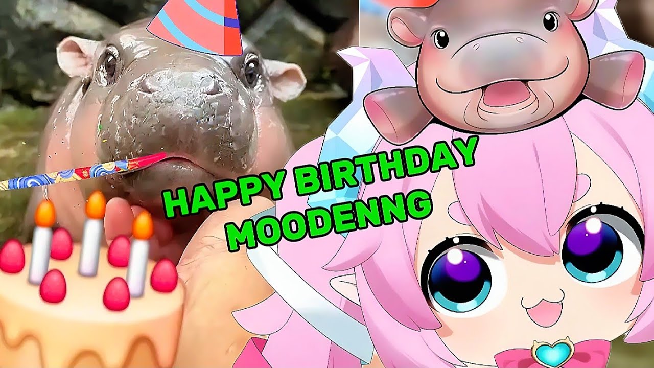 CHIBI REACT | MOODENNG BIRTHDAY 🎂👏🏻👏🏻 