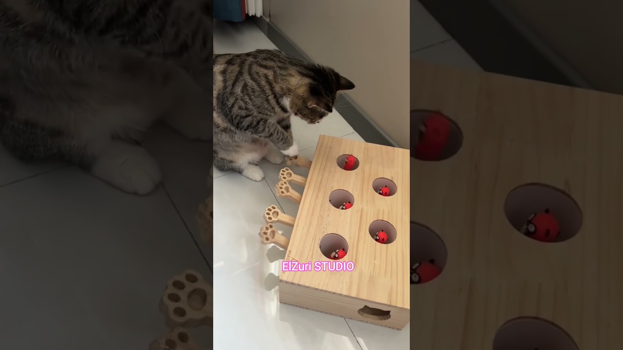 I have to catch him quickly 