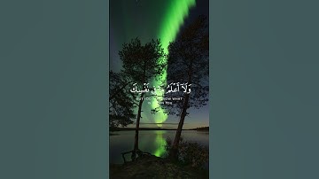 آيات من سورة المائدة - ياسر الدوسري #quran #religion #قرآن #القرآن_الكريم #ياسر_الدوسري