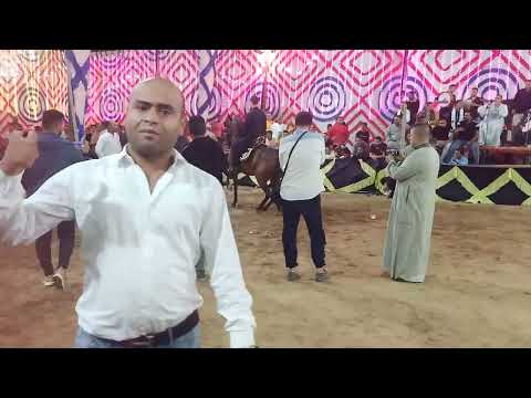عجيبه حمزاوي وعبدالرحمن كرم حفله مولد المعادي 2022
