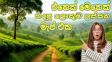 දැනට හදපු ලොකුම මැප් එක 😍 ! Best Big Map Mod Bus Simulator Indonesia.