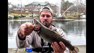 INSANE Day of TROUT FISHING  ||Local TWRA Stocked Pond||