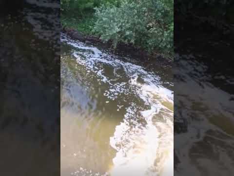 Allarme schiuma bianca nel fiume Sacco: emergenza infinita