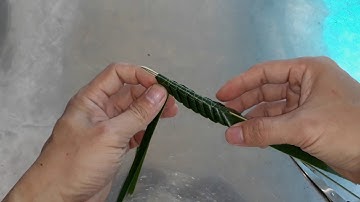 How make A Grasshopper from coconut leaf- Làm con cào cào châu chấu lá dừa xinh đẹp