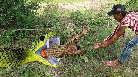 Amazing Quick Deep Hole Snake Trap & Bird For Snake Feed - How To Using Easy Make With Plastic Pipes