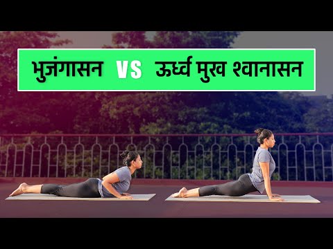 6 Incredible Benefits of Yoga and Meditation in Hindi