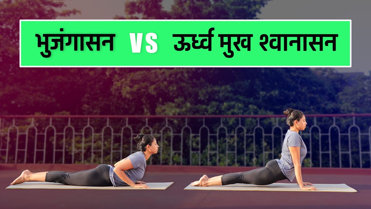 भुजंगासन कैसे करे | Bhujangasan Yoga In Hindi | योग आसन | Yoga In Hindi |  भुजंगासन करनेका सही तरीका - video Dailymotion