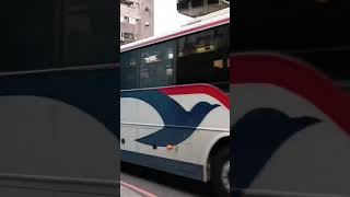 金龍賓士引擎！指南客運951路 KKB-0197