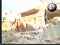 الشيخ راغب حرب سنحيي بطفلنا المقتول أطفال الأرض