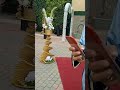 دامت لكم الافراح والمسرات 