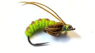 Olive Caddis Pupa. How to tie. Tutorial. #flytying #flyfishing #caddispupa #troutflies #nymphs #fly