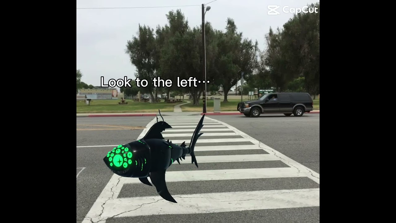 Eyestation how did you die? You have so many eyes.