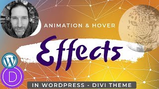 Animation and Hover Effects in DIVI Theme for Wordpress Wealth