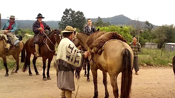 Quais são os costumes do gaúcho?