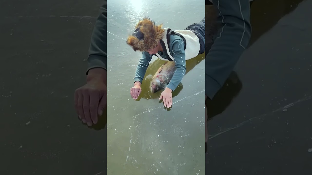 Lies on snow fish, to pic😮