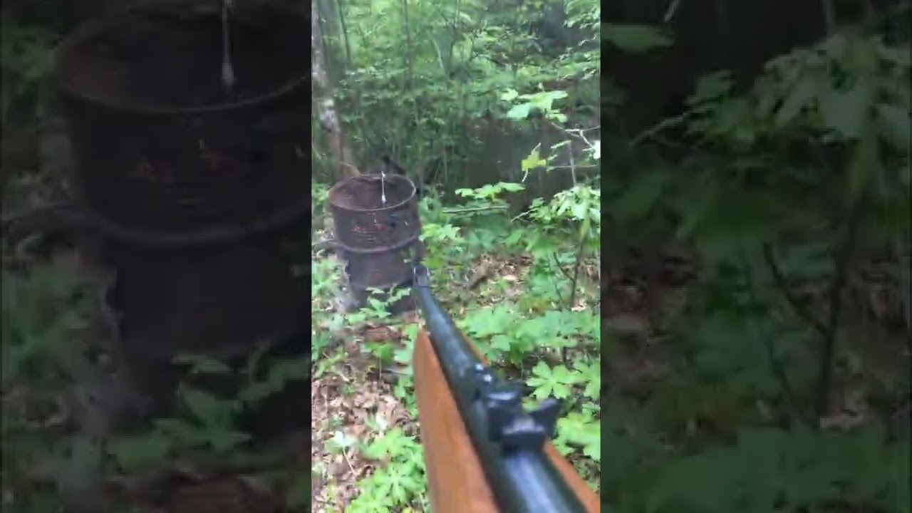 Mossberg 702 Plinkster .22LR