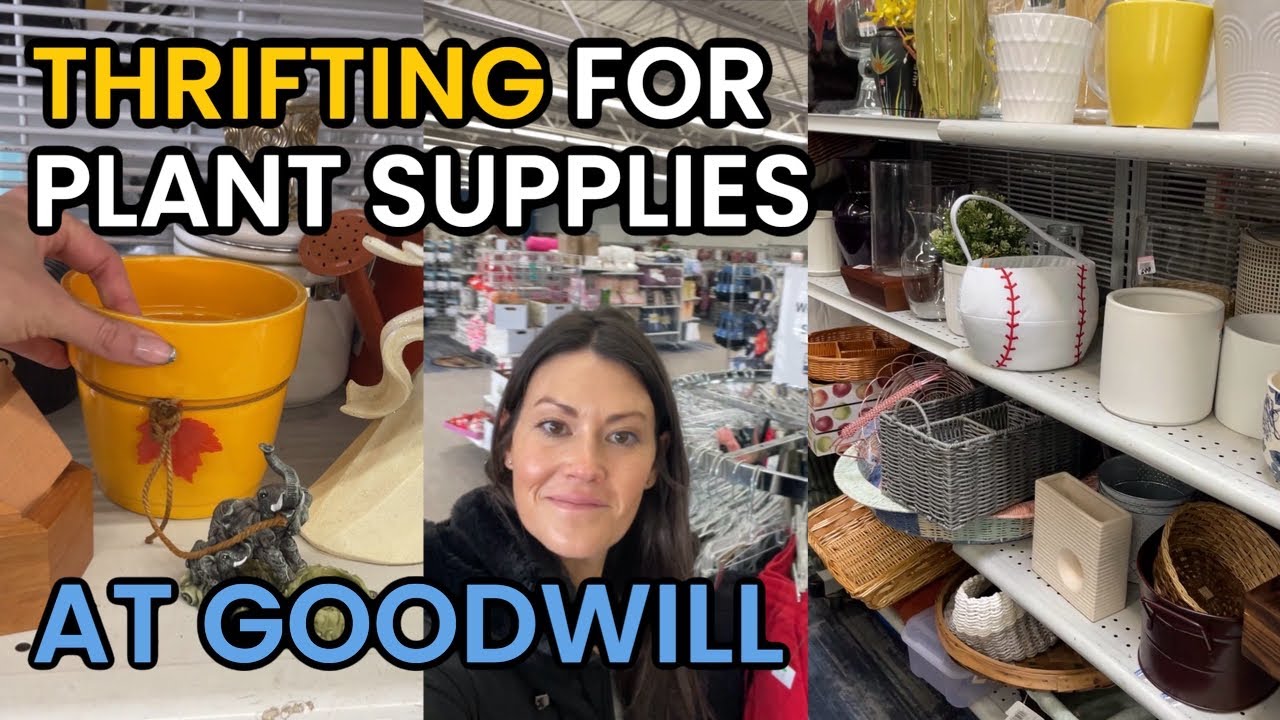 Thrifting at Goodwill for Plant Supplies - Thrift Shopping - Goodwill Finds