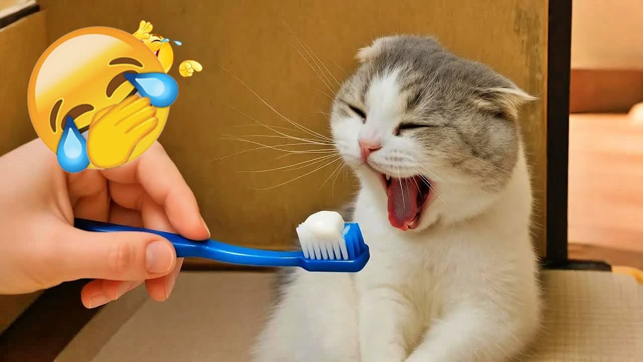 Funny ANIMALS Clip😛 | Most Funny animals video 2026 🌶️ 