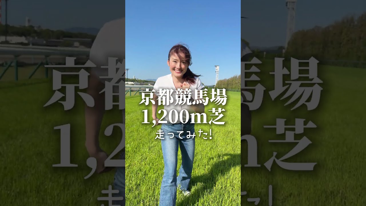関連動画1