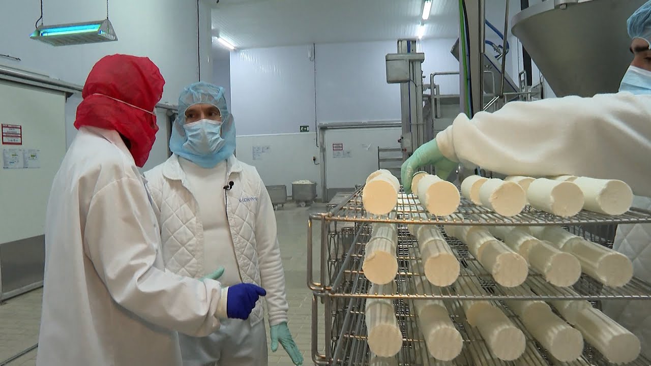 T14/E2: Ferrallas y Forjados, Lácteas Cobreros y Puertas Norma