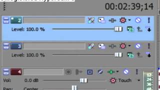 Fantage Tutorial- Finding Your Way Around ANY Sony Vegas Software