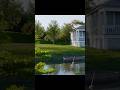 Creating a Beautiful Nature Scene in Blender