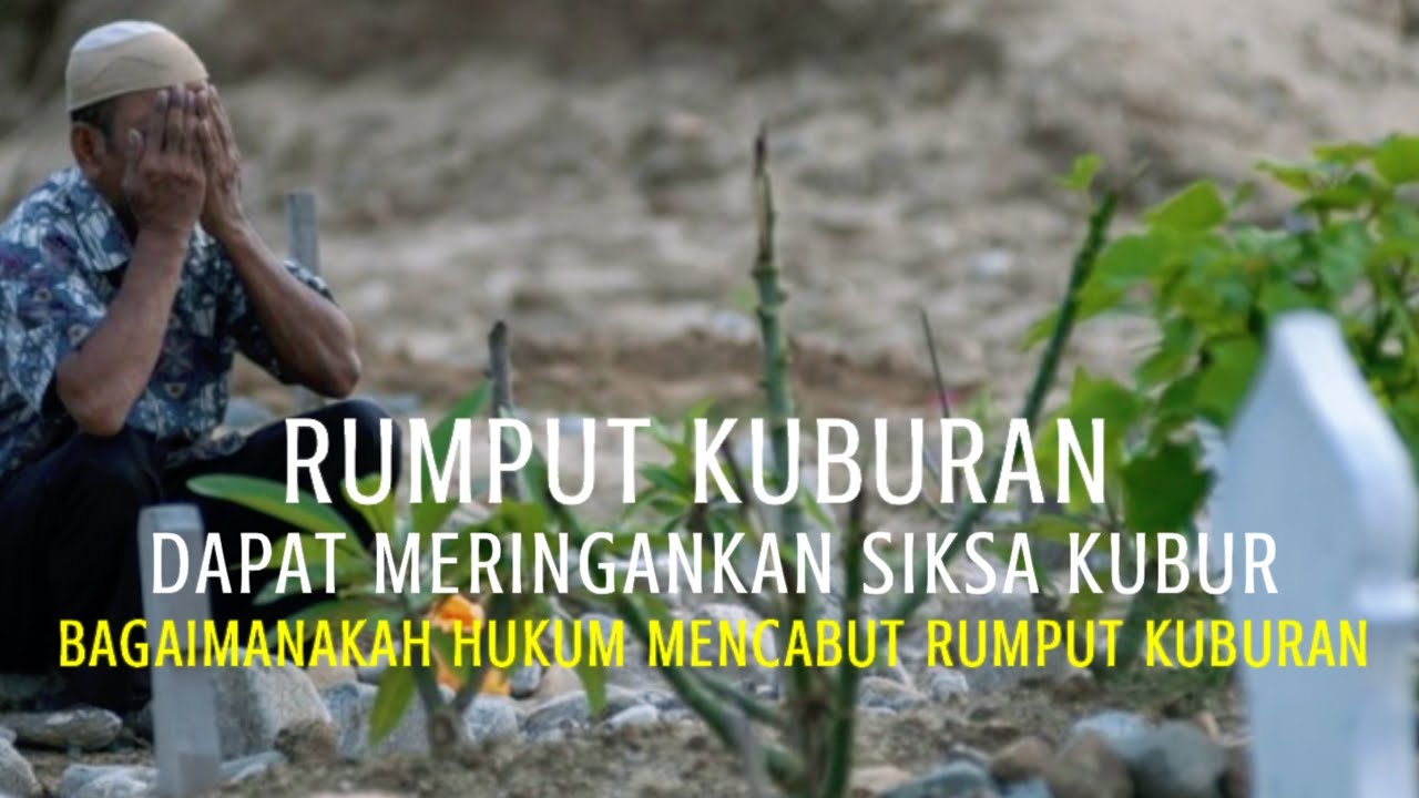 Rumput yang tumbuh di atas kuburan bisa meringankan siksa kubur - YouTube