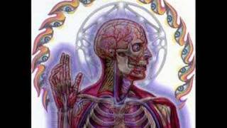 lateralus album art