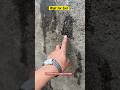 We Tested Transparent Waterproof Coatings on exterior walls #shorts