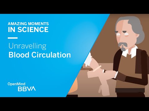 Unravelling Blood Circulation | OpenMind