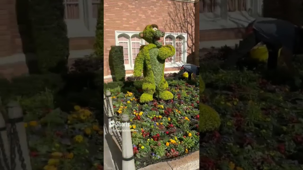 Getting Ready for Flower & Garden Festival