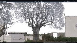 Leica Cyclone 3DR 2023.1 - Create or edit an ortho-image with the elevation view mode