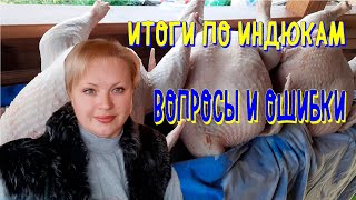 видео: индюки, частые ошибки и вопросы, итоги 2021 года картинка: индюки, частые ошибки и вопросы, итоги 2021 года